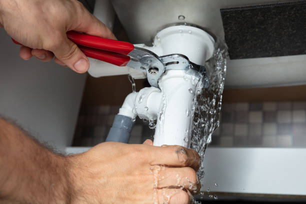 Best Carpet water damage restoration  in Leisure World, MD
