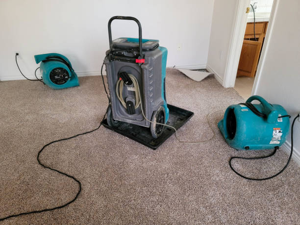 Best Water damage repair service  in Leisure World, MD