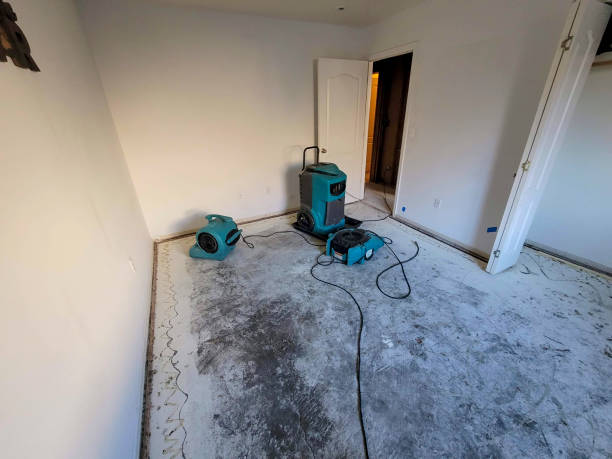 Best Water damage restoration insurance claims  in Leisure World, MD