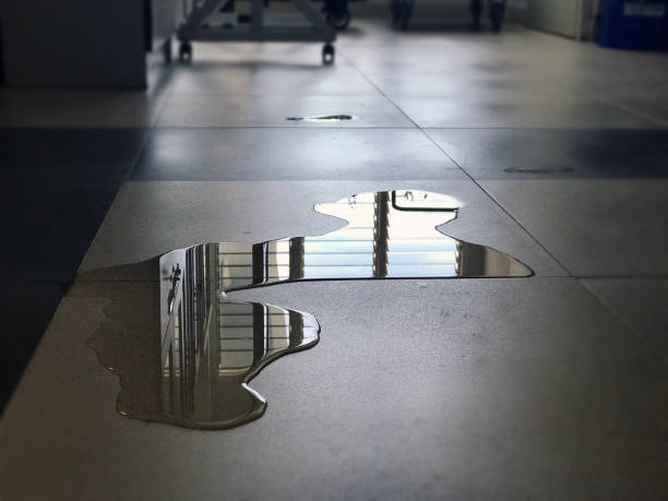 Best Local water damage restoration  in Leisure World, MD
