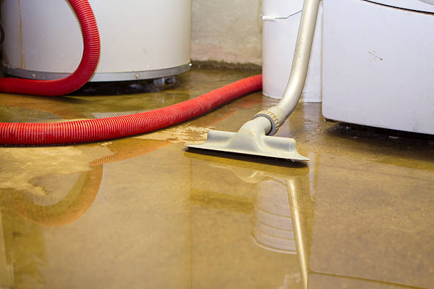 Best 24/7 water damage repair  in Leisure World, MD