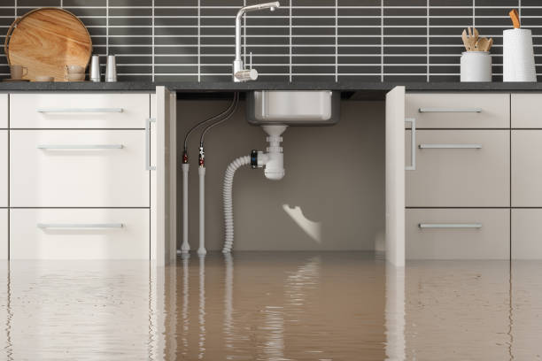  Leisure World, MD Water damage restoration Pros