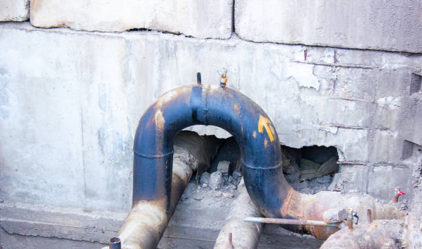 Best Sewage cleanup and water damage restoration  in Leisure World, MD