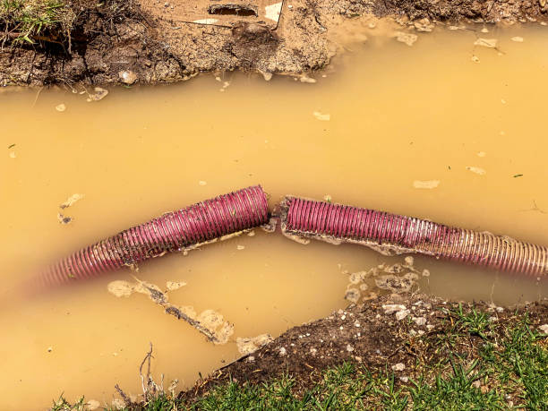 Best Water damage restoration specialists  in Leisure World, MD