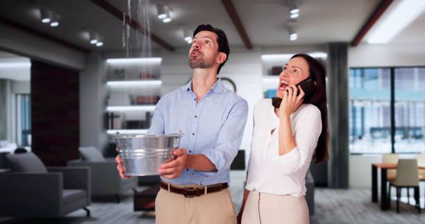  Leisure World, MD Water damage restoration Pros