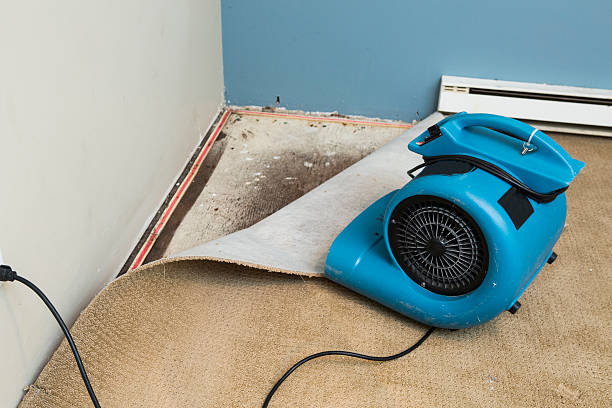 Best Residential water damage restoration  in Leisure World, MD